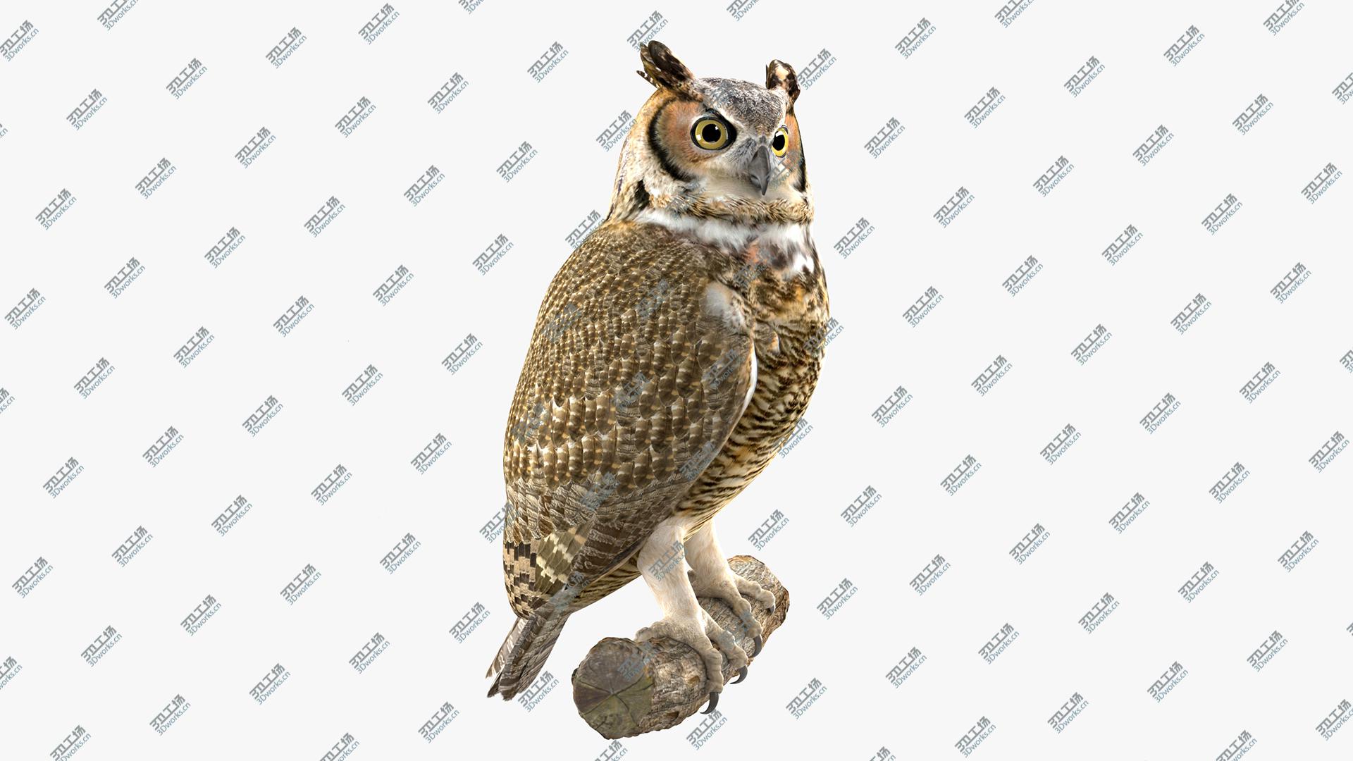 images/goods_img/202105072/Owl 3D model/1.jpg